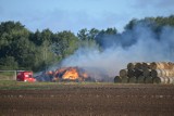 Rolnik wyznaczył nagrodę za pomoc w ujęciu podpalacza stert ze słomą