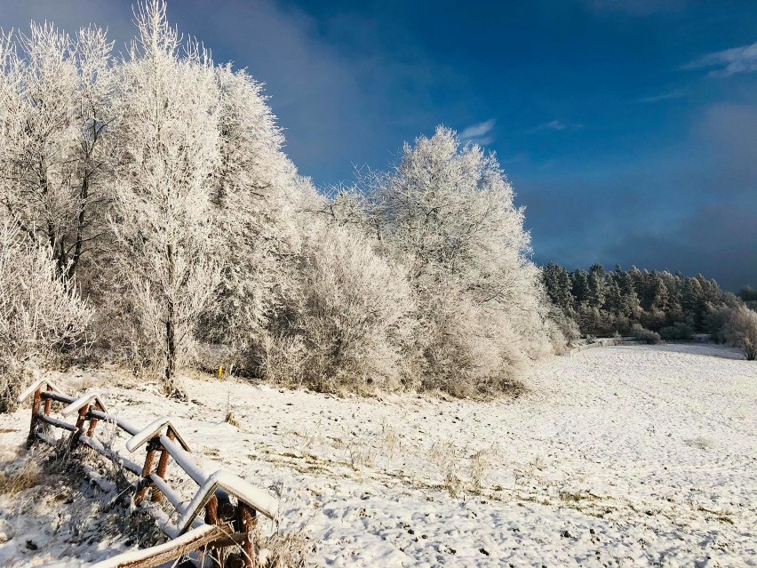 Zima w Cisowej w powiecie przemyskim. Zobacz zdjęcia Kamila