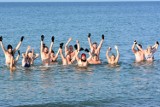 Morsy w Dąbkach kąpały się w Bałtyku - słoneczna niedziela - 15.11.2020 ZDJĘCIA też podwodne
