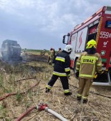 Żniwa trwają w najlepsze. Policja apeluje o ostrożność przy pracach polowych