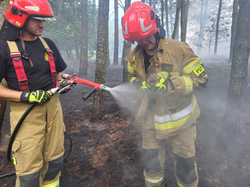 Pożar lasu i zboża na pniu w miejscowości Mnichów