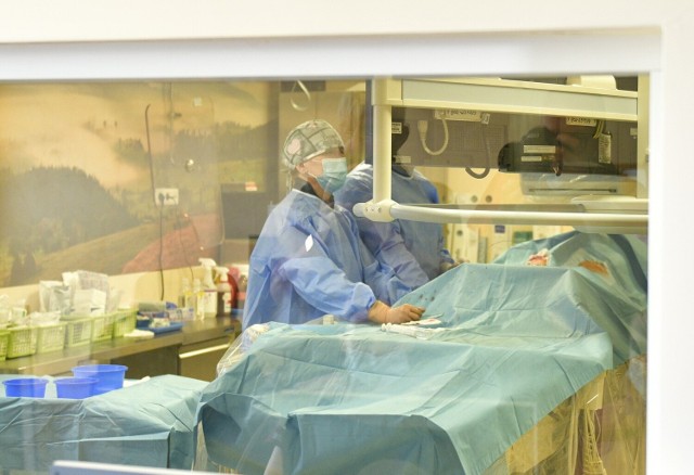 1 sierpnia w Radomskim Szpitalu Specjalistycznym oddano do użytku po remoncie oddział chirurgii naczyniowej.