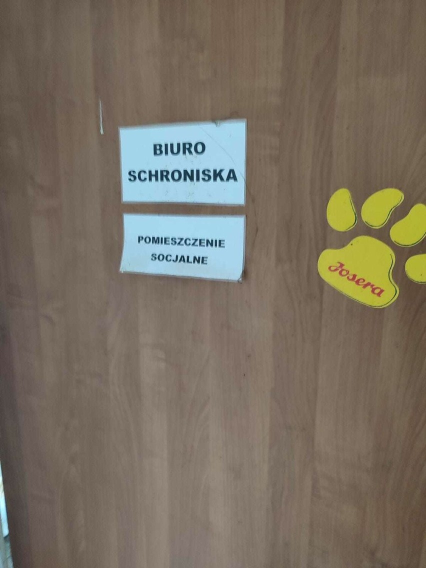 Zdjęcia wykonane podczas czwartkowej interwencji Fundacji...