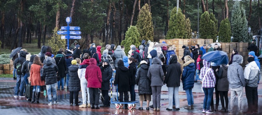 Toruń: Tłumy chętnych ustawiły się po skrzynki z jabłkami...