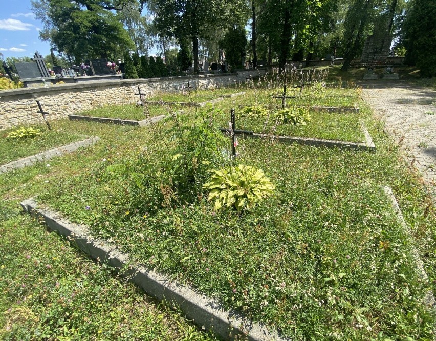 Zaniedbane kwatery żołnierzy na cmentarzu komunalnym w...