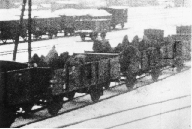 Więźniowie z KL Auschwitz i jego podobozów byli pieszo pędzeni przez Niemców do Gliwic i Wodzisławia Śląskiego skąd pociągami w otwartych wagonach przetransportowano ich w głąb Rzeszy