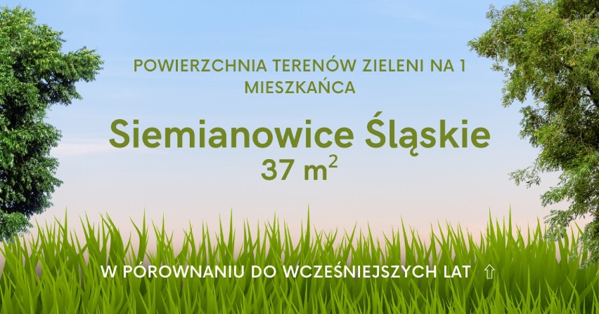 Betonoza w woj. śląskim! Ile m² zieleni przypada na 1 mieszkańca? Sprawdź dane z Gliwic, Katowic, Sosnowca i innych miast