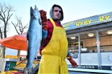 Boże Narodzenia - Darlowo - ile zapłacimy za rybę w porcie bałtyckim? ZDJĘCIA