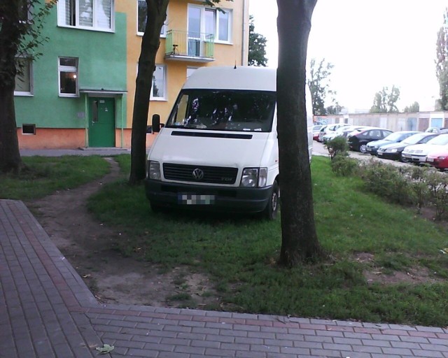 Mistrzowie Parkowania w województwie kujawsko-pomorskim.

Zobaczcie zdjęcia >>>



Zobacz także.
Mimowolny mistrz parkowania/US CBS/x-news

