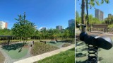 Mrówkowy Ogród. Nowy park w Krakowie oficjalnie otwarty