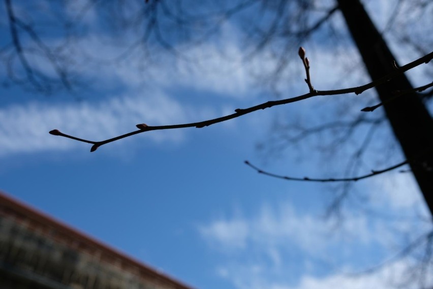 Czwartek przyniesie ocieplenie. Temperatura może wynieść...