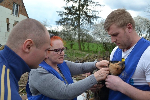 Zaniedbania wyszły na jaw podczas kontroli inspektorów Towarzystwa Opieki nad Zwierzętami w Polsce z oddziału w Starogardzie Gd.
 Dwa szczeniaki były uwiązane na krótkim, nylonowym sznurku, a jednemu z nich pasek wrzynał się w ciało. Natychmiast trzeba było go przeciąć, bo pies mógł się udusić