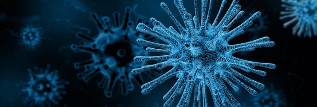 Liczba zachorowań na COVID-19 wzrasta, stąd dodatkowe obostrzenia sanitarne. Nie wszyscy jednak widzą logikę w zamykaniu jednych działalności przy jednoczesnym pozwalaniu na działanie innym. W galerii zdjęć prezentujemy kilka "cech" koronawirusa na podstawie nowych obostrzeń, które mógłby mieć, gdyby istniał w ludzkiej postaci. Jakim wirus byłby człowiekiem?