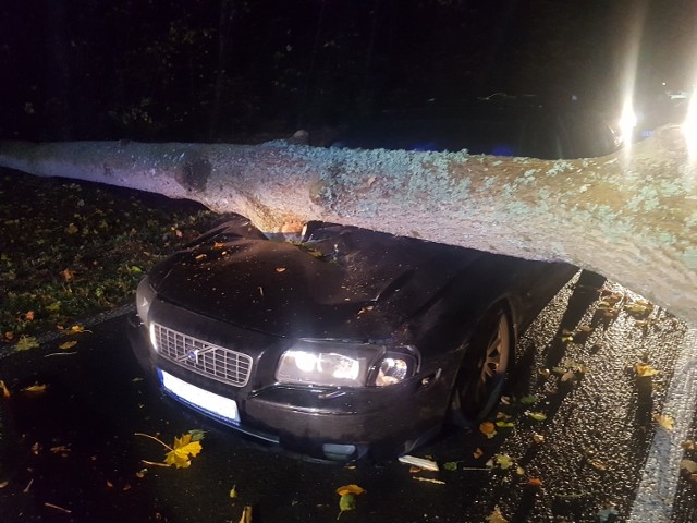 Kierowca i pasażerka volvo mieli ogromne szczęście