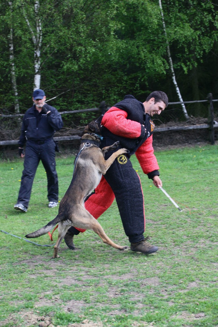 Funkcjonariusze łódzkiego Animal Patrolu przeszli szkolenie,...