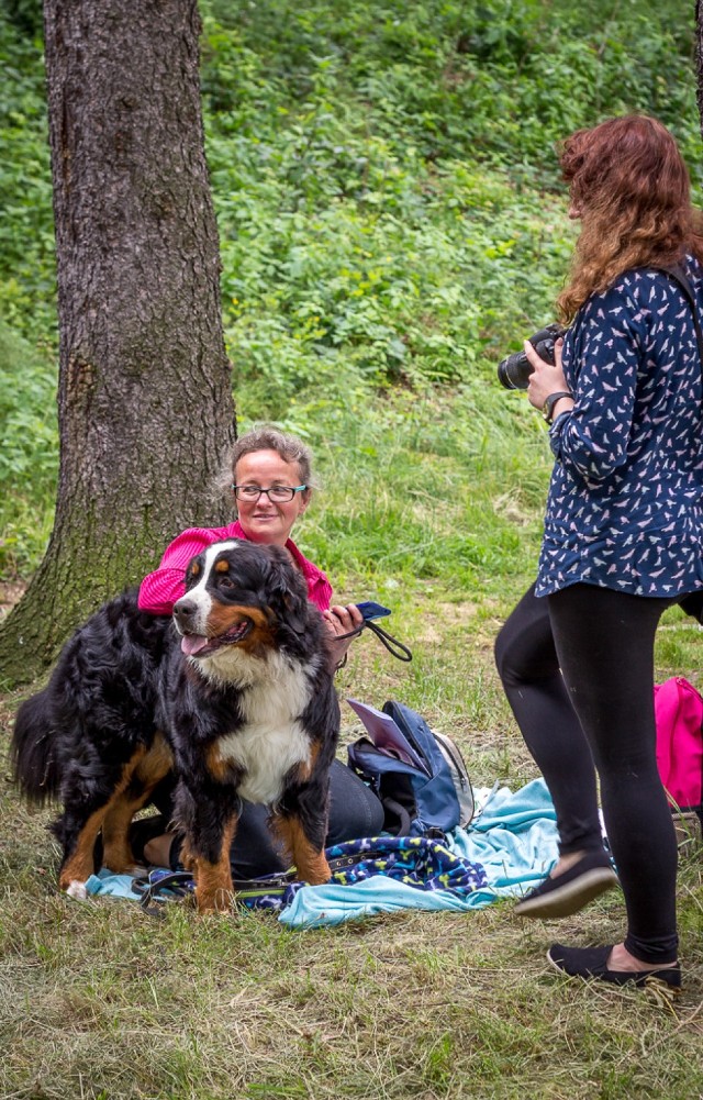 Karkonoska Wystawa Psów Rasowych 2016