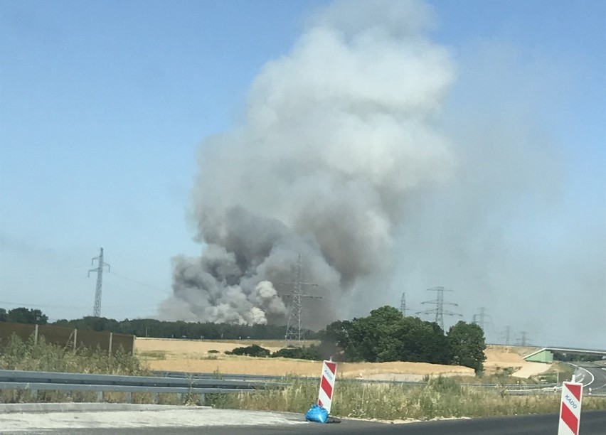 Mieszkańcy gminy Dopiewo alarmują o pożarze, który wybuch w...