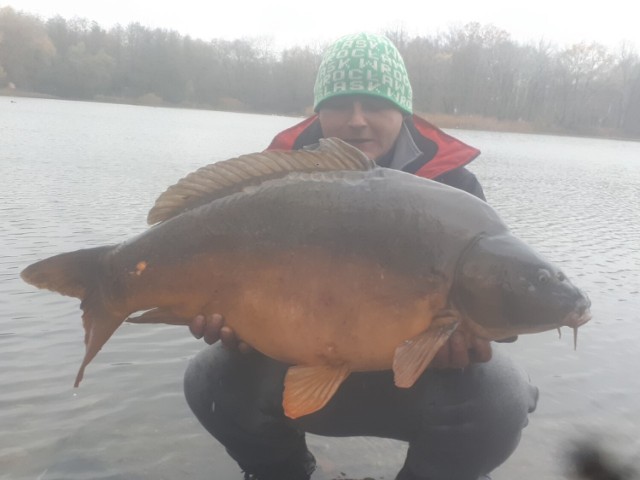 Grzegorz Szczepanik z Wrocławia, który jest mistrzem w łowieniu wielkich ryb we wrocławskich akwenach

Karp złowiony na Pilczycach o wadze 16,500kg i o długości 91cm.