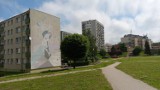 Murale w Tczewie - gdzie się znajdują i co przedstawiają? Zobaczcie zdjęcia! 