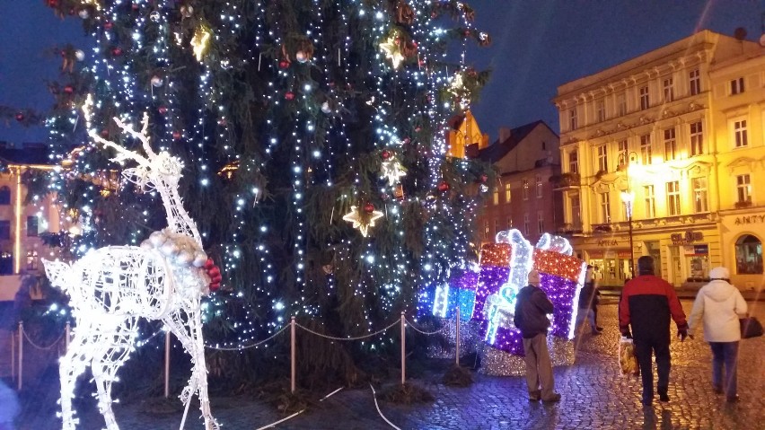 Świąteczne drzewko na Starym Rynku rozbłysło światełkami [zdjęcia, wideo]