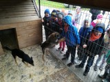 Wizyta w schronisku dla zwierząt w Czartkach
