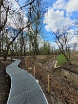 Kraków. Okolica fortu zmienia się w prawdziwy park ZDJĘCIA