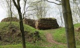 Archeolodzy muszą wrócić na Podzamcze w Wąbrzeźnie