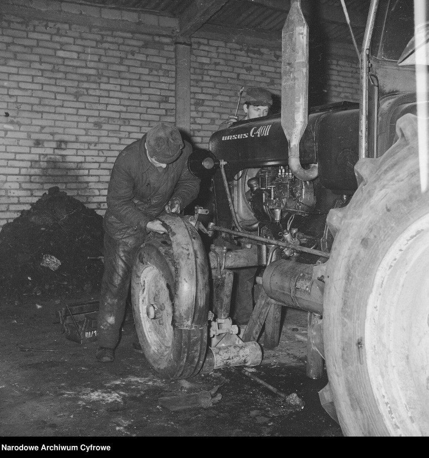 Mechanicy podczas remontu ciągnika Ursus C-4011, 1972 rok