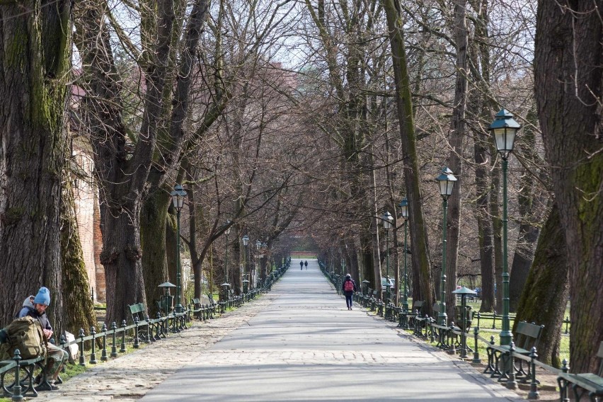 Koronawirus. Coraz smutniejszy obraz Krakowa. Jest jeden plus: mieszkańcy faktycznie zostali w domach! [GALERIA]