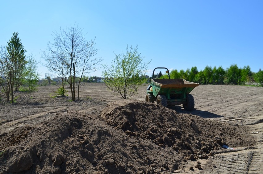 Pierwszy etap prac na Gliniankach w Radomsku prawie zakończony. Kiedy park będzie gotowy?