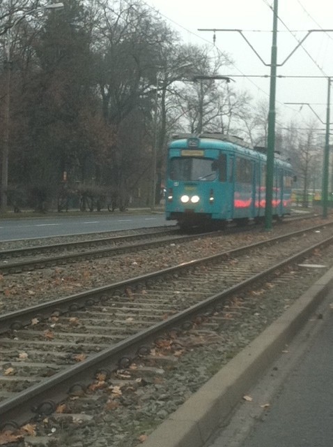 MPK Poznań: Wahadłowy tramwaj linii 25 jeździ na Wegorka