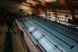 Sukces pływaków z Legnicy