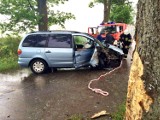 Wypadek pod Pelplinem. Kierująca samochodem ranna po uderzeniu w drzewo [ZDJĘCIE]