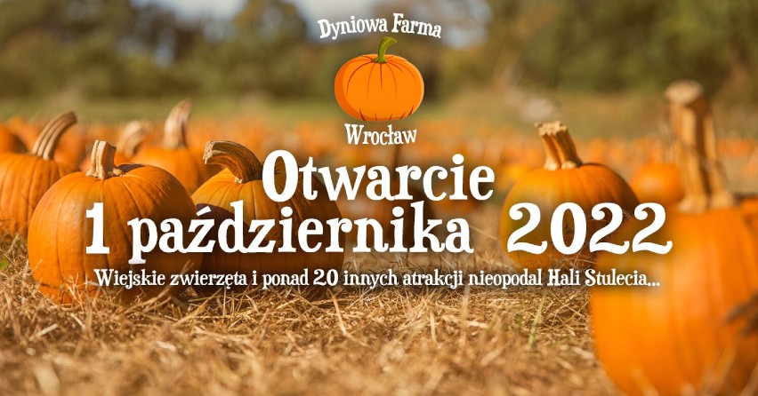 Już 1 października rusza Dyniowa Farma we Wrocławiu, czyli...