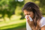 Kalendarz alergika: Co pyli w czerwcu? Możliwe wzmożenie objawów uczulenia na te rośliny