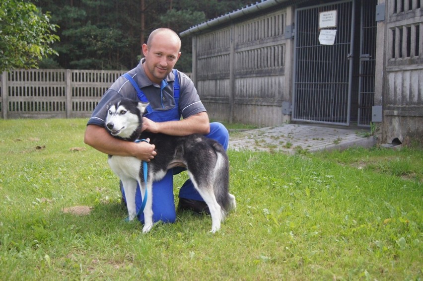 Co się dzieje w schronisku w Radomsku? Są uwagi do pracy...