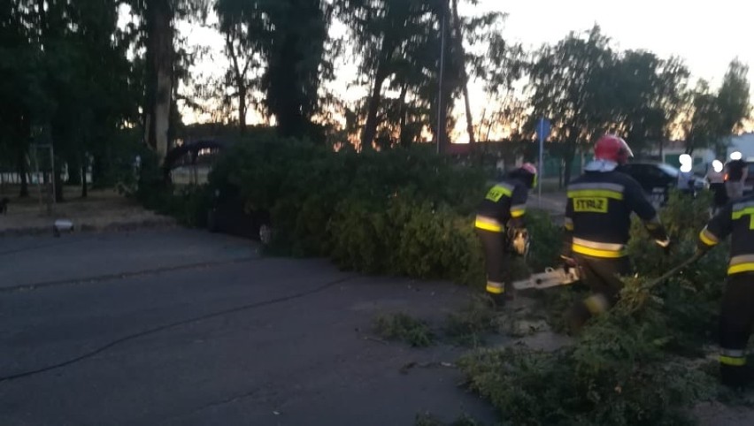 Nowy Tomyśl: Przy ulicy Komunalnej drzewo spadło na samochód [ZDJĘCIA]
