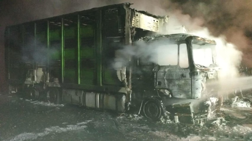 Spłonęły ciężarówki w Ziemnicach. Straty ponad 270 tysięcy złotych [ZDJĘCIA]