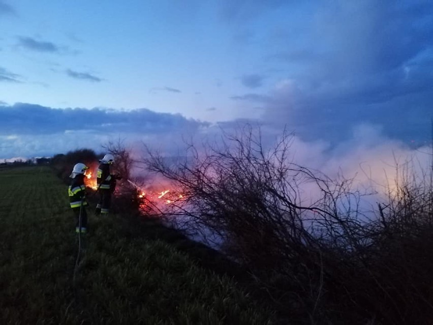Pożary traw w powiecie malborskim. Tak strażacy gasili je w tym roku [ZDJĘCIA]. PSP apeluje, policja ostrzega