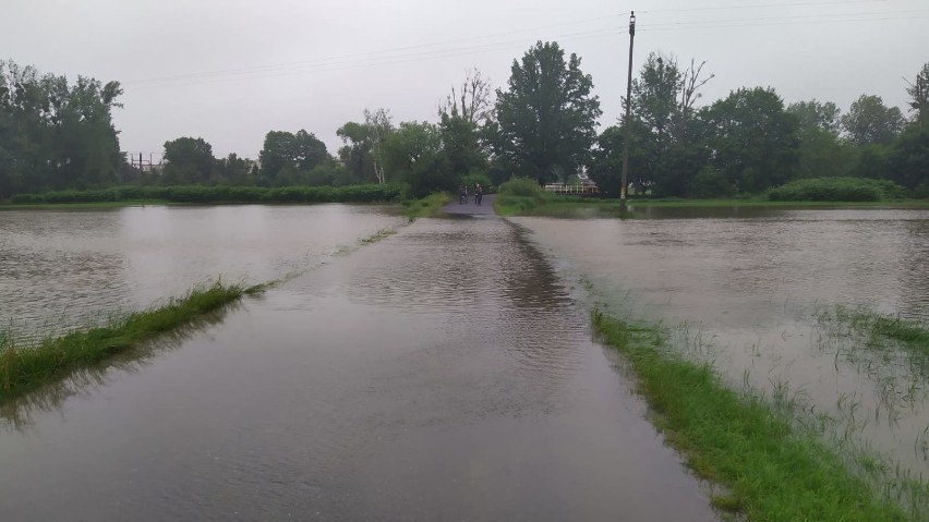 Odra i Osobłoga w powiecie krapkowickim mają przekroczone stany ostrzegawcze