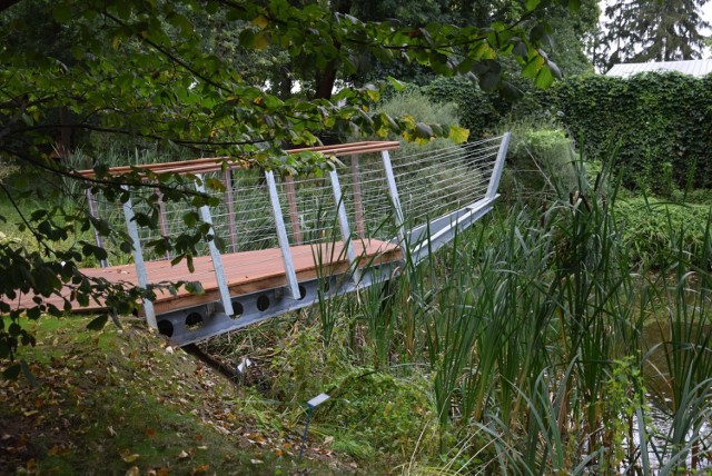 Zmiany w Ogrodzie Botanicznym w Zielonej Górze. Mieszkańcy mogą oglądać podwodne rośliny ze specjalnej hydroplatformy.