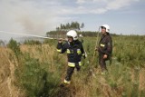 UWAGA! Zagrożenie pożarowe w lasach Dolnego Śląska