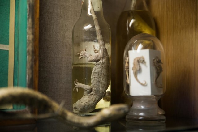 Muzeum Farmacji Collegium Medicum Uniwersytetu Jagiellońskiego