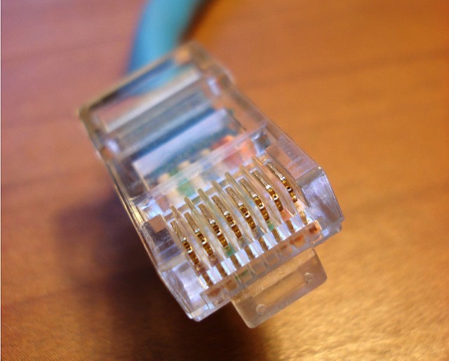 http://pl.wikipedia.org/w/index.php?title=Plik:CAT5e-RJ45.jpg&filetimestamp=20100402170306