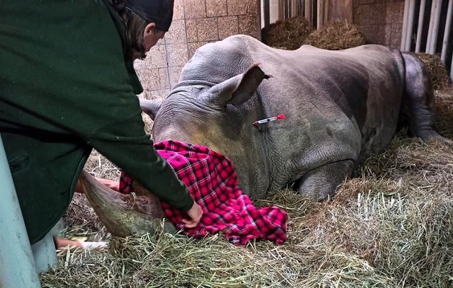 - Rokowania nie są dobre - przyznają pracownicy zoo