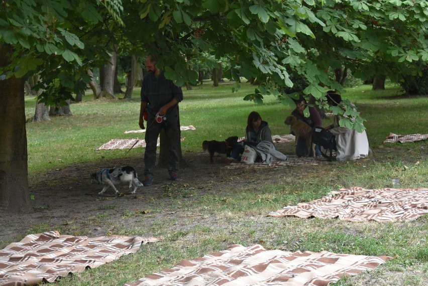Psy opanowały wrzesiński park. Za nami szczekający piknik  [FOTO] 