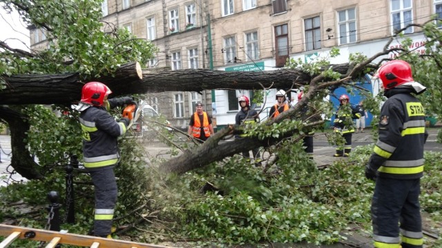 Strażacy ostrzegają, by nie parkować ani nie chronić się w czasie wichury pod drzewami.