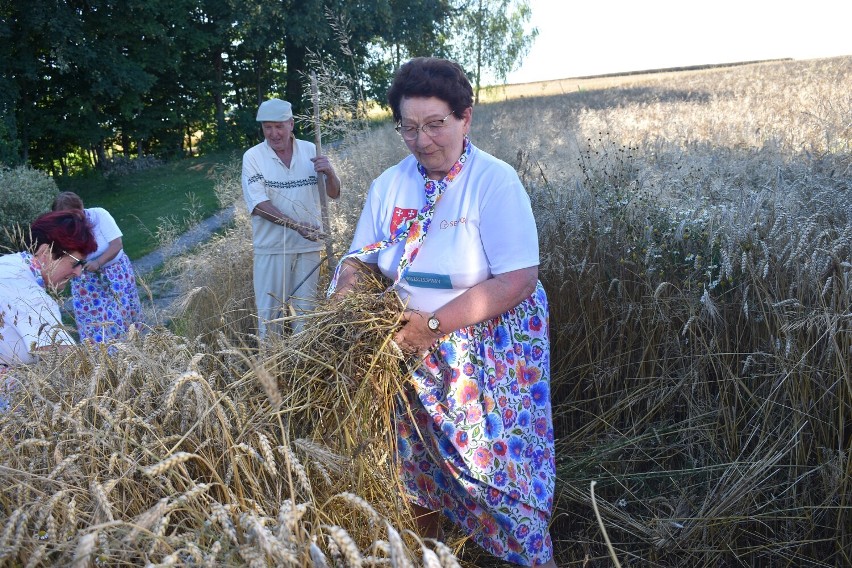 Członkinie łużniańskiego Klubu Seniora nie mają czasu na...