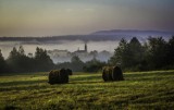 Fotograficzny Talent Roku. GALERIA ZDJĘĆ Janka Gmura z Wróblewa 