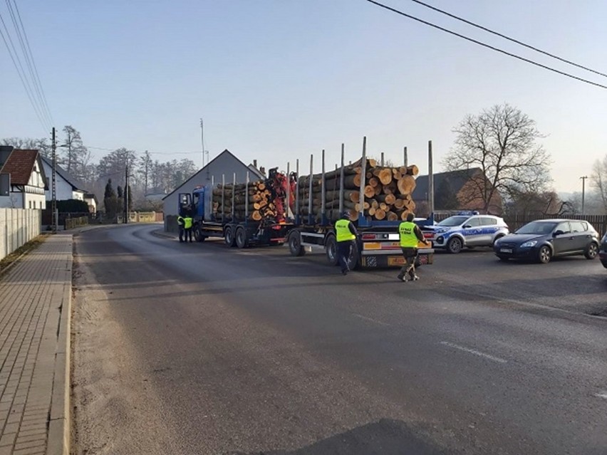 KPP Stargard. Policjanci ze strażnikami leśnymi ujawnili 11 sprawców wykroczeń. Dwie osoby zostały ukarane mandatem karnym, 9 pouczono